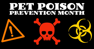 Maybe you would like to learn more about one of these? Critter Care Animal Hospital Pocetna Facebook