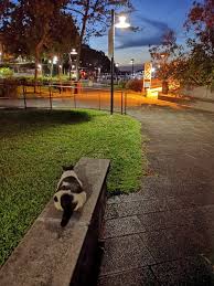 「allintext:"Powered by vBulletin" ~mentioned」的圖片搜尋結果