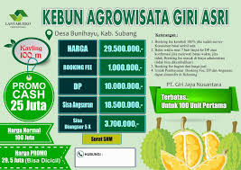 Giri asri subang kavling kebun agrowisata bunihayu dekat wisata sari ater. Kebun Agrowisata Giri Asri Bunihayu Subang