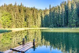 Forest Lake