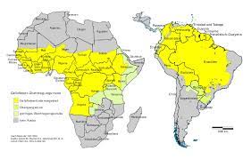 Hier sind drei impfungen über einen zeitraum. Hausarzt Zentrum List Hannover Reisemedizin
