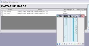 Untuk latihan, kita coba membuat piramida penduduk dengan data penduduk provinsi jambi tahun 2013 menurut kelompok umur dan jenis kelamin. Membuat Form Daftar Penduduk Sederhana Dengan Bantuan Aplikasi Microsoft Access Part 3 Finishing Niguru Indonesia