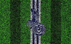 Wallpapers for theme msv duisburg. Download Wallpapers Msv Duisburg 4k German Football Clubs Football Lawn Logo Emblem Blue White Lines Bundesliga 2 Duisburg Germany Football Grass Texture Duisburg Fc For Desktop Free Pictures For Desktop Free