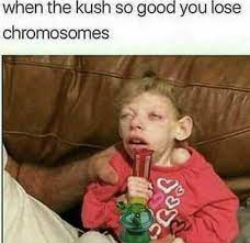Dark memes belong to a genre of a meme that makes jokes of experiences, happenings, and situations that are considered by most people to be too serious, sacred, or controversial. Horribly Dark Memes Album On Imgur