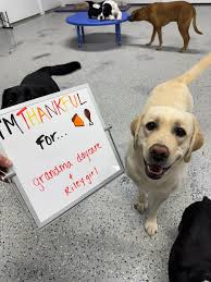 Tea time with Millie! 🫖🎀 Millie threw a tea party for all her closest  friends for her birthday! They wore their “ Sunday best” and had a classy  time celebrating their friend