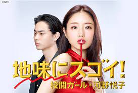日テレオンデマンド 地味にスゴイ 映画 ポスター 校閲