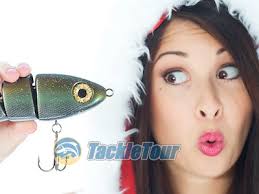 2011 Holiday Gift Guide