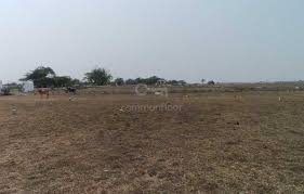 Maybe you would like to learn more about one of these? Jemi Homes Plot In Tiruvallur Chennai Find Price Gallery Plans Amenities On Commonfloor Com