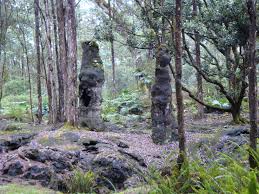 Lava Engulfs Tree Tree Gone But Lava Shell Remains Pahoa Hawaii Big Island Big Island Hawaii Big Island Island