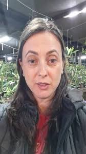 Live de vendase cultivo., Contato conosco através do whatsapp 54 99965-5896