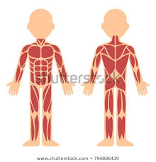Practice quiz & test prep for students and teachers. Shutterstock Puzzlepix