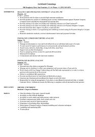 Analyst Insurance Resume Samples Velvet Jobs
