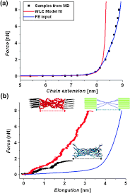 Bottom Up Computational Modeling Of Semi Crystalline Fibers