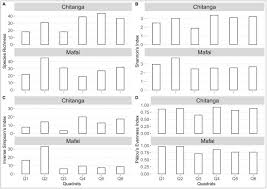 Image result for Hyperacanthus microphyllus