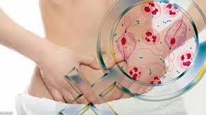 Kelenjar lendir yang terdapat tubuh merupakan tempat dimana dihasilkannya lendir yang bekerja untuk melembabkan saluran pernafasan ketika di butuhkan. 7 Bentuk Keputihan Dan Artinya Health Liputan6 Com