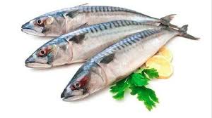 Maybe you would like to learn more about one of these? 5 Jenis Ikan Paling Enak Dibuat Pempek Palembang Dijamin Hasilkan Rasa Dan Aroma Pempek Jadi Beda Halaman 2 Sriwijaya Post