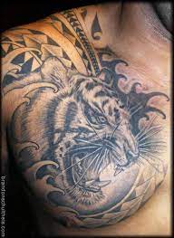 Grey Ink Angry Tiger Tattoo On Man Chest Tiger Tattoo Polynesian Tattoo Tattoos For Guys