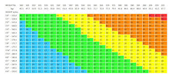 Free Bmi Chart Templates Download Top Form Templates