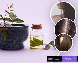 Neem oil keeps our hair well in many ways. Tips To Use Neem Oil To Treat Hair Issues