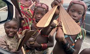 Image result for Adenolobus pechuelii