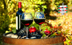 Vino Mexicano! los que debes probar este 2021