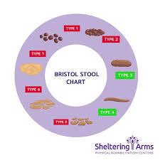 Image result for Fecal Incontinence