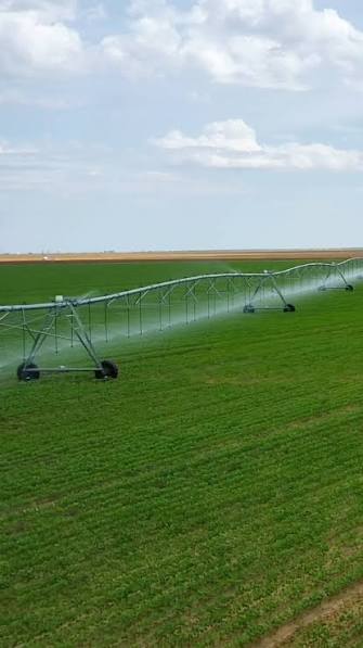 🌱 Área de soja irrigada por pivô central em Barreiras-BA 🌱, O município  de Barreiras, conhecido como a capital agrícola do Oeste da Bahia, é  referência em inovação e produtividade no agronegócio. A ...