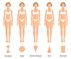 In this video, you can easily know about female body shape types. Women Body Types Stock Illustrations 427 Women Body Types Stock Illustrations Vectors Clipart Dreamstime