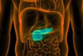 Image result for yellow stool human poop