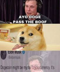 What does help you to endure the pain and see the issue from a different perspective? I M Just A Degenerate Retard But I Believe We Can Send Doge To The Moon Let S Go Apes Together Strong Dogecoin