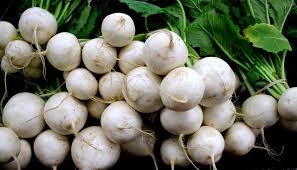 Check spelling or type a new query. Root Vegetable White Turnip Free Photo On Pixabay
