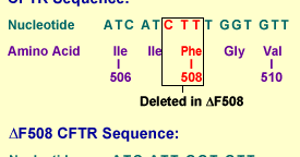 Image result for Delta F508