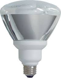 Ge Lighting 21739 26watt90watt Equivalent Energy Smart Outdoor Floodlight Par38 Light Bulb Continue To The Product At Ge Lighting Outdoor Flood Lights Bulb