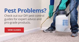 Pest strategies is a top resource to help you get rid of bugs, rodents, and fix all your pest problems. Do My Own Do It Yourself Pest Control Lawn Care Gardening Equipment Animal Care Products Supplies