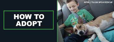 Ave.) on omaha (51st street). How To Adopt Tulsa Spcatulsa Spca