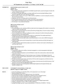 Pre Sales Consultant Resume Samples Velvet Jobs