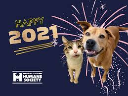 Spay/neuter clinic hours wednesday, friday, saturday 7:30 am to 6:00 pm. San Antonio Humane Society Five Pet Friendly New Year S Resolutions For 2021