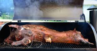 I've done whole pigs in an above ground home made box oven on a spit many times. Traeger Roast Pig
