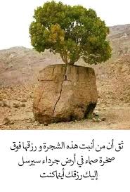 pin by صورة و كلمة on مواعظ خواطر إسلامية glass vase plants decor
