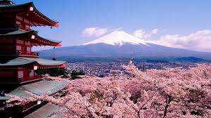 Había dos lugares que teníamos claro que íbamos a ver durante el viaje: Copia Anime Moda Y Culytura Japonesa Monte Fuji