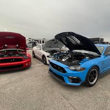 Image result for Kermit Green 2024 Aston Martin