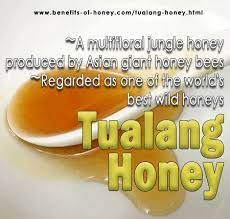 Manufacture and marketing company for herbal health product cometic product. Probably Malaysia S 1 Honey Tualang Honey