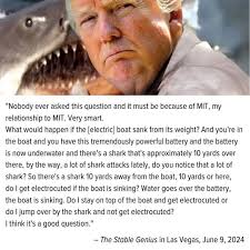 Inspired from the sunk cybertruck post, let's remember how stable the US  genius truly is