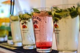 They are rum pouches that make it convenient and easy to get cocktail drinks. Malibu Rum S 60 Ounce Cocktail Pouches Come In Four Boozy Flavors