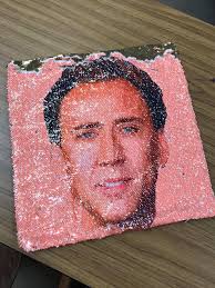 Sequined Dwight pillow cover at Goodwill in Syracuse NY