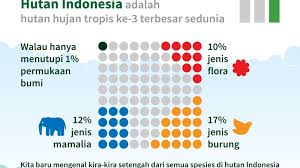 Pak niko dan pak budi kemudian menghisap putingku perlahan, membuat putingku makin tegak berdiri dengan keras. Community Joko Widodo Tetapkan Hari Hutan Indonesia Untuk Rayakan Pentingnya Hutan Indonesia Change Org