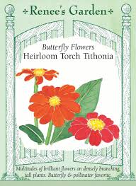 Image result for Tithonia