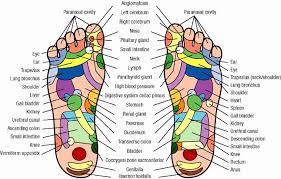 Cogent Reflexology Chart How To Use Doterra Reflexology