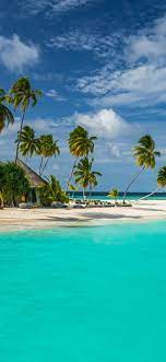 Maldives Seaside Mobile Wallpaper Sea Palm Tree Tropical Resort Beautiful Beaches Maldives Wallpaper Beach