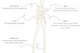 Pauw Size Chart